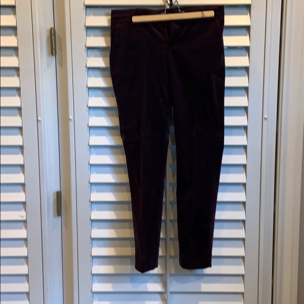 Dark purple banana republic pants